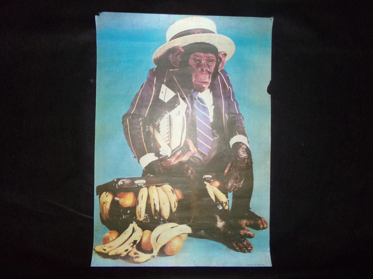 Плакаты с изображением обезьяны. СССР. Конец 1980-тых годов.