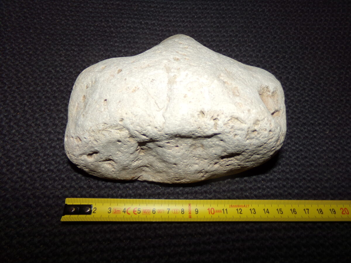 Камень с конусным углублением. Окаменелый след моллюска.