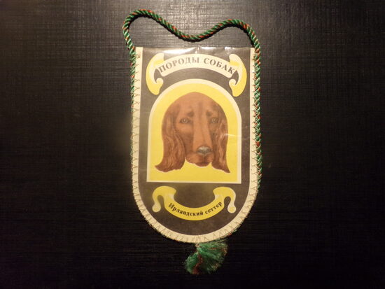 Вымпел двухсторонний. Породы собак. Ирландский сеттер. СССР. 1970-тые года. 