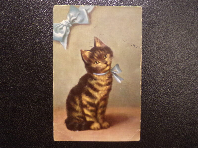 №100. Открытка-кошечка. Латвия. 1925 год.