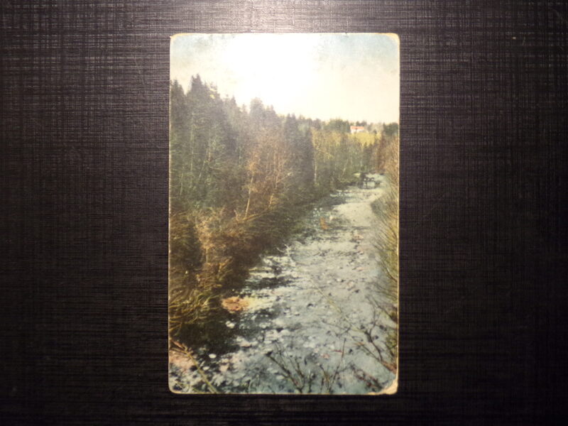 №144. Открытка из серии "виды Латвии". Река Персе возле Кокнесе. Начало 20 века.