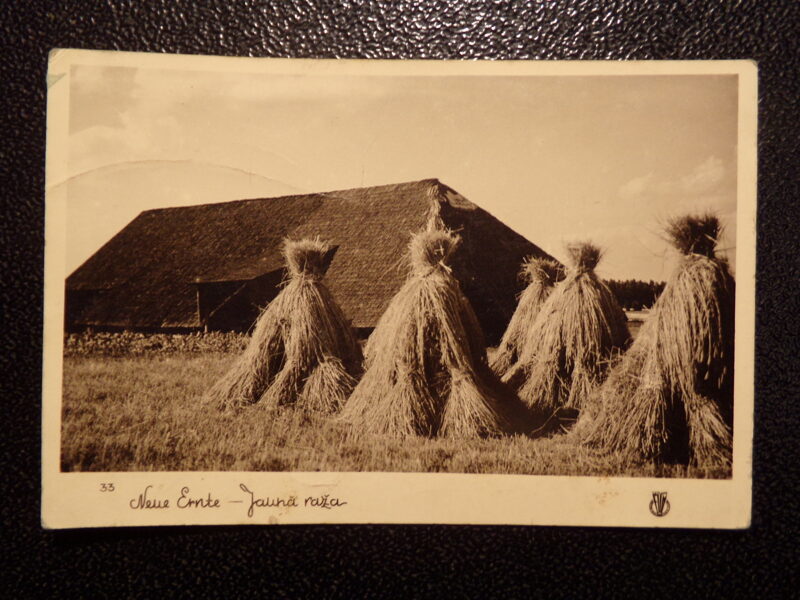 №88. Латвия. Остланд. Новый урожай. 1943 год.