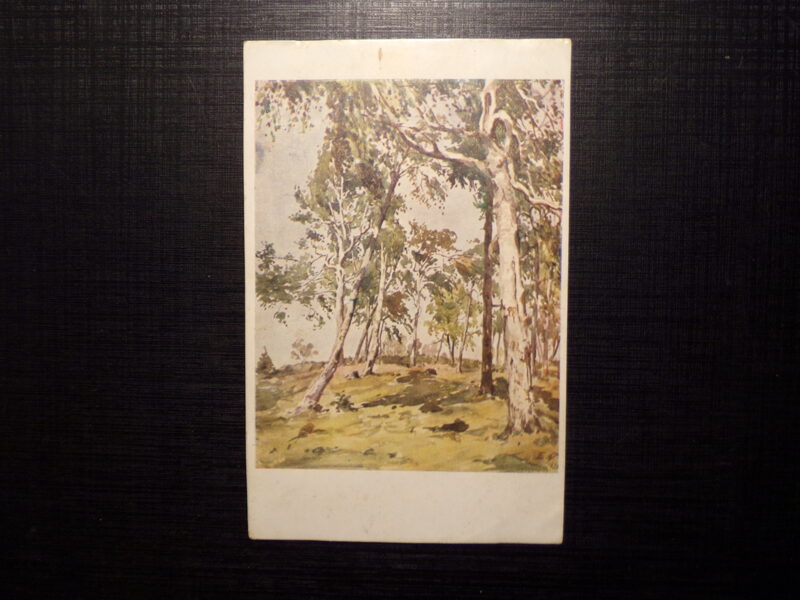 №208. Репродукция картины. Художник Е. Волфейлс. "Березы на вершине Гайзиньшкалнс". Латвия. 1943 год.