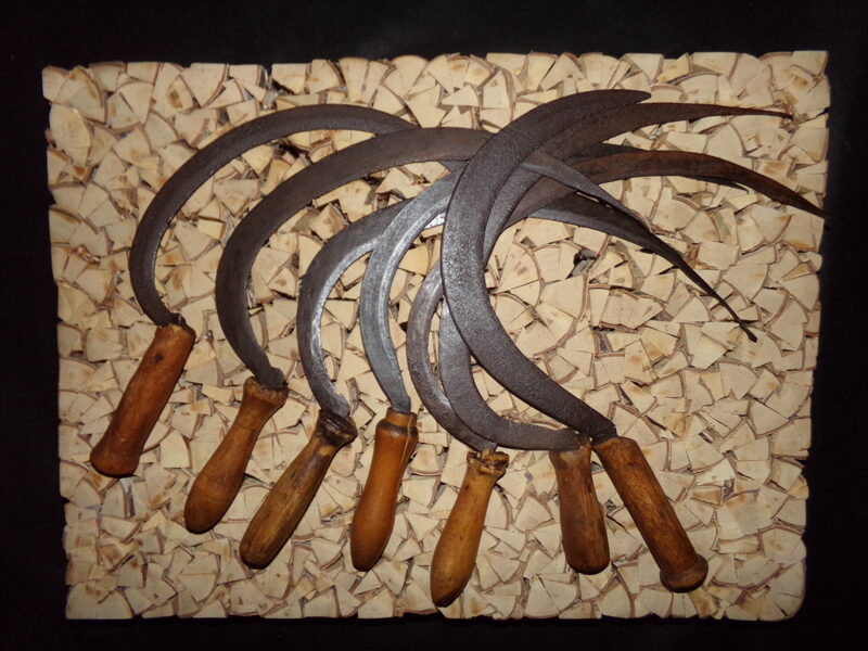 №66. Серпы для резки хлебных колосьев.