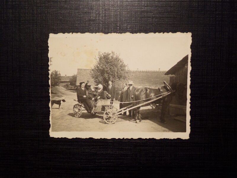 №202. Латвия. Конная повозка на хуторе. 1930-тые года.