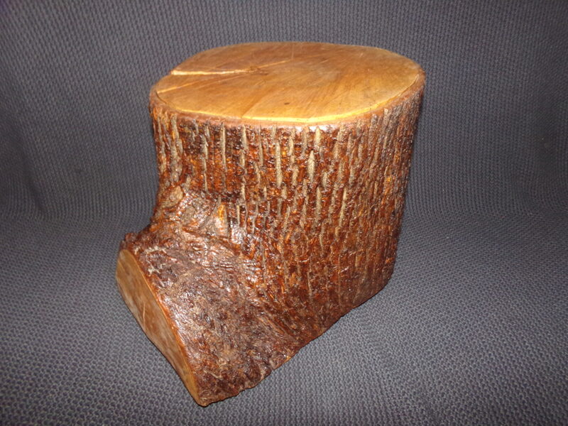Ясеневый пень. Высота 27 см.