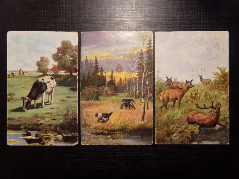 №193. Три открытки с репродукциями картин. Начало 20 века. Прошедшие почту Латвии в 1920-тых годах.