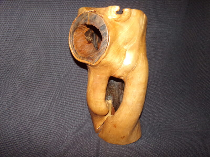 Часть ствола яблони без коры с пустотой внутри.