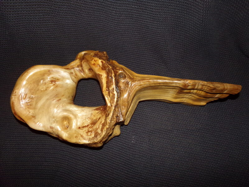 Часть березового ствола. Обработана лаком.