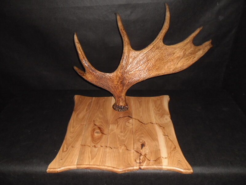 Рог на доске с контуром Латвии.