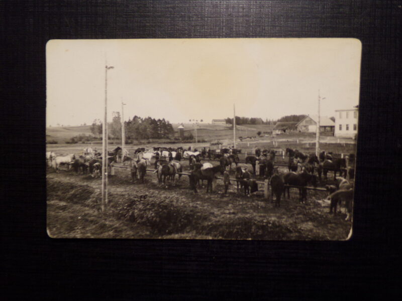 №116. Латвия. 1931 год. Военная часть в городе Цесис. Семейный архив Дубровских.