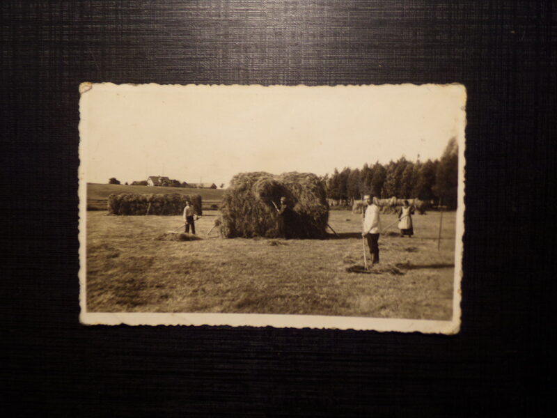 №109. Латвия. 1930-тые года. Сенокос.