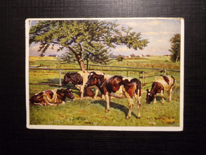 №288. Открытка производства Германии. Отправлена в Латвию в 1943 году.