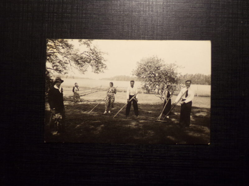 №185. Латвия. Сенокос. 1920-тые года.