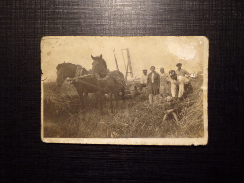 №110. Латвия. 1930-тые года. Сенокос.