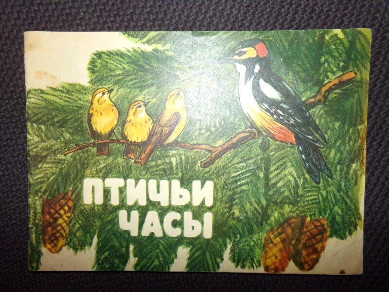 №53. Книжка- раскраска. Птичьи часы. Издательство "Малыш". 1977 год.