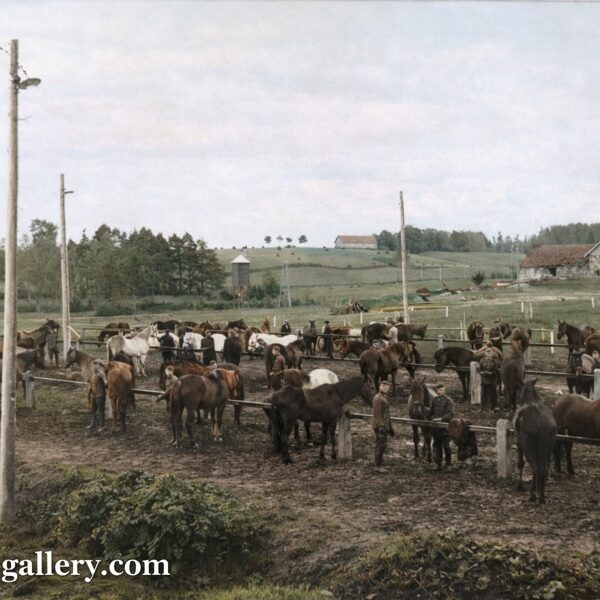 Служба в Латвийской армии. 1927-29 года. Цесис. Дубровский Николай.