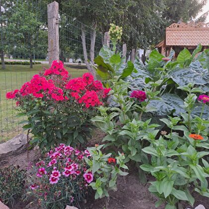 2023. gada 1. augusts.