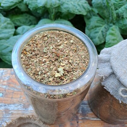 2022. gada tabakas raža uz 20023.gada tabakas plantācijas fona.