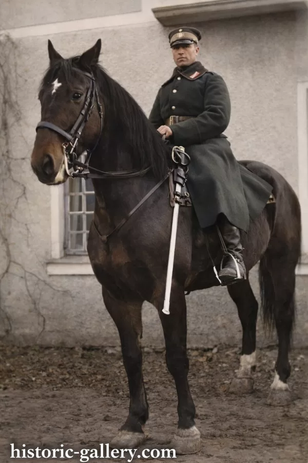 Служба в Латвийской армии. 1927-29 года. Цесис. Дубровский Николай.