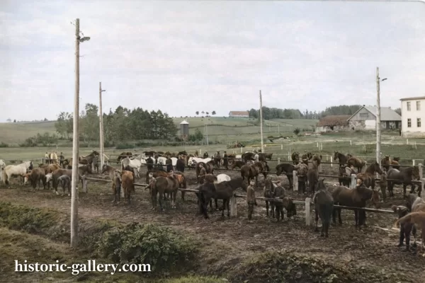 Dienests Latvijas armijā. Cēsis. 1927. - 1929. gads. Dubrovskis Nikolajs. 