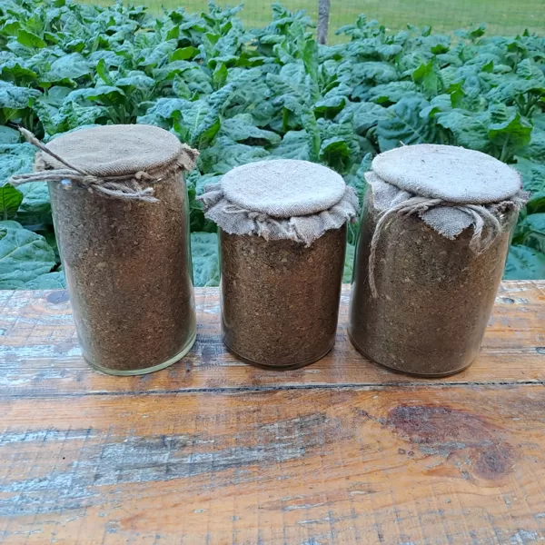 Žāvēta tabaka senlaicīgās stikla burkās.