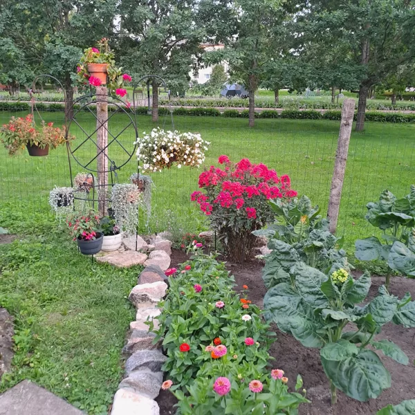 15.07.24
