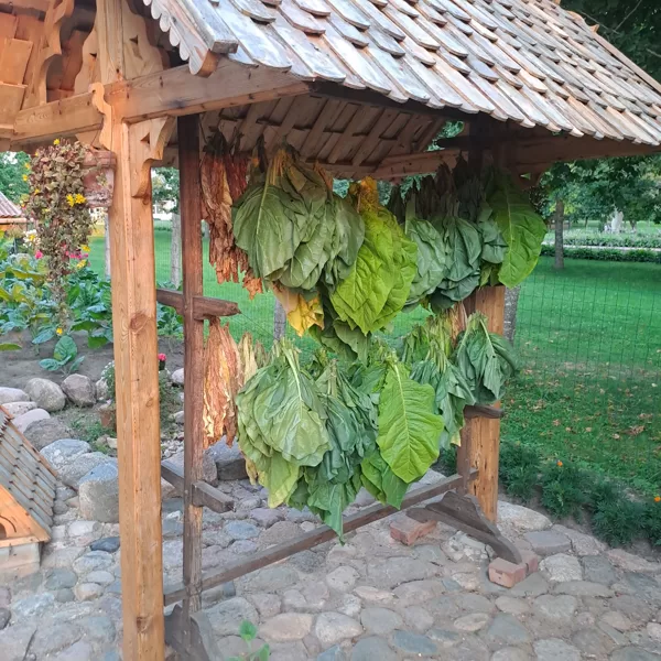 15.07.24